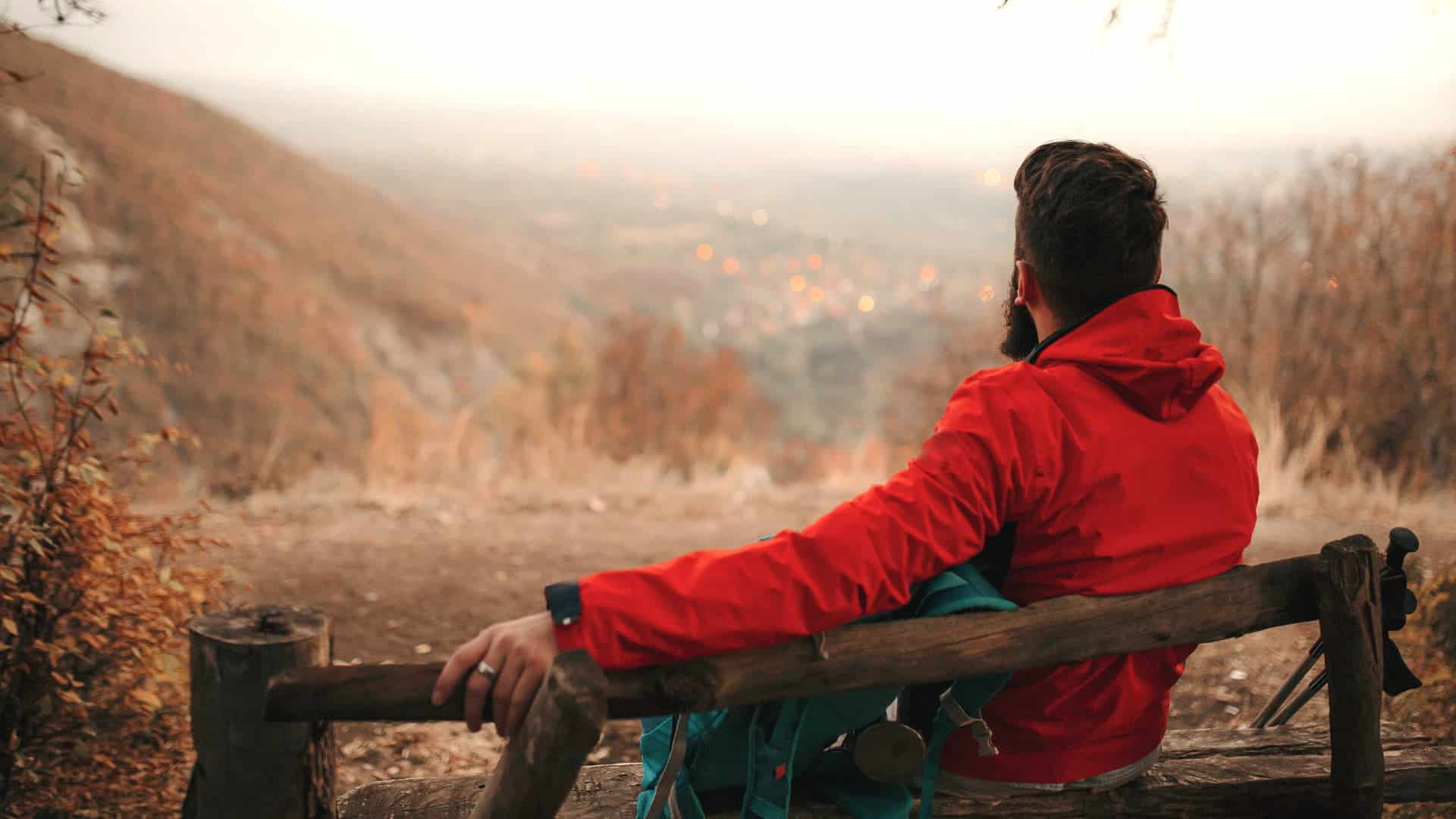 View of The Brains of Porn Addicts (according to neuroscientists)